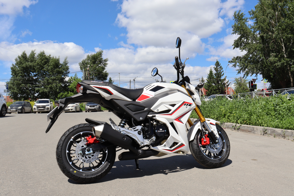 Мотоцикл PROMAX STRYKER 200(49) 2.0 в Нижнекамске