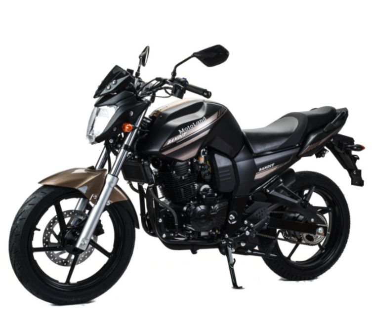 Мотоцикл MOTOLAND (МОТОЛЕНД) 300 BANDIT в Нижнекамске