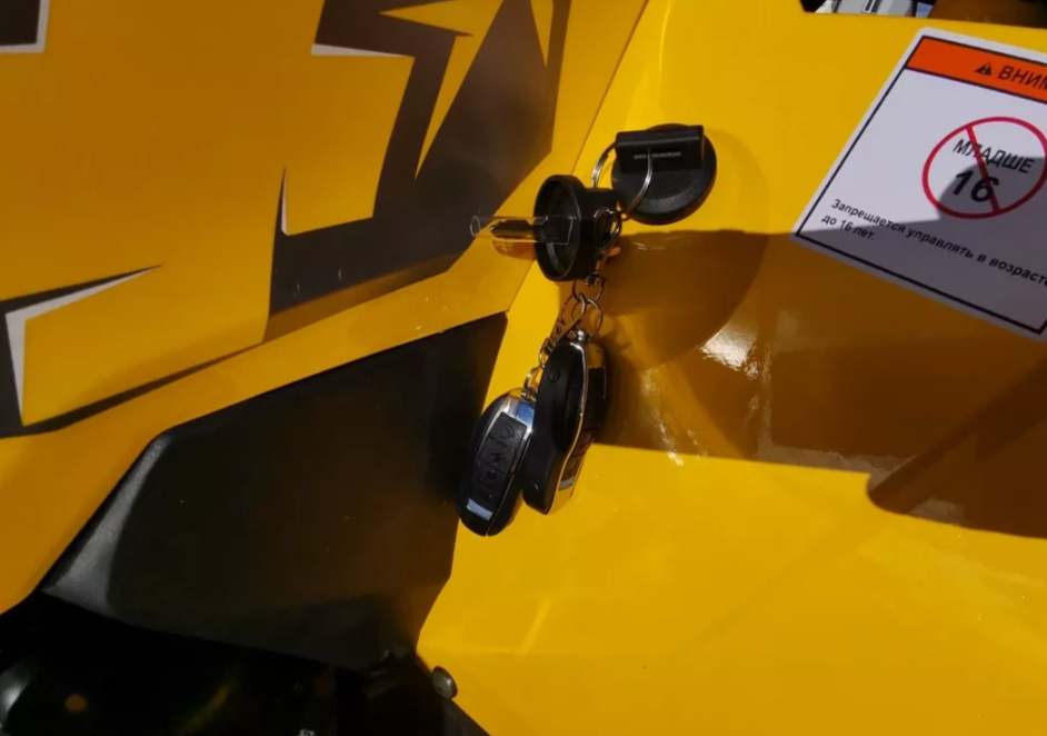 Квадроцикл MOTOLAND (МОТОЛЕНД) VOX200 WILD TRACK X PRO (баланс. вал) в Нижнекамске