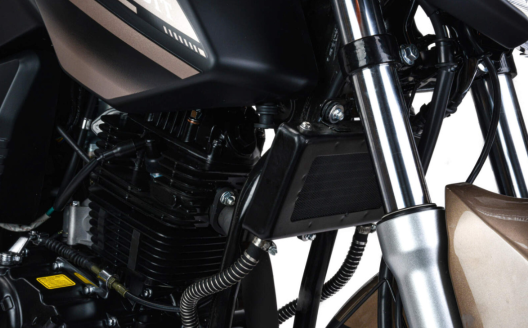 Мотоцикл MOTOLAND (МОТОЛЕНД) 300 BANDIT в Нижнекамске