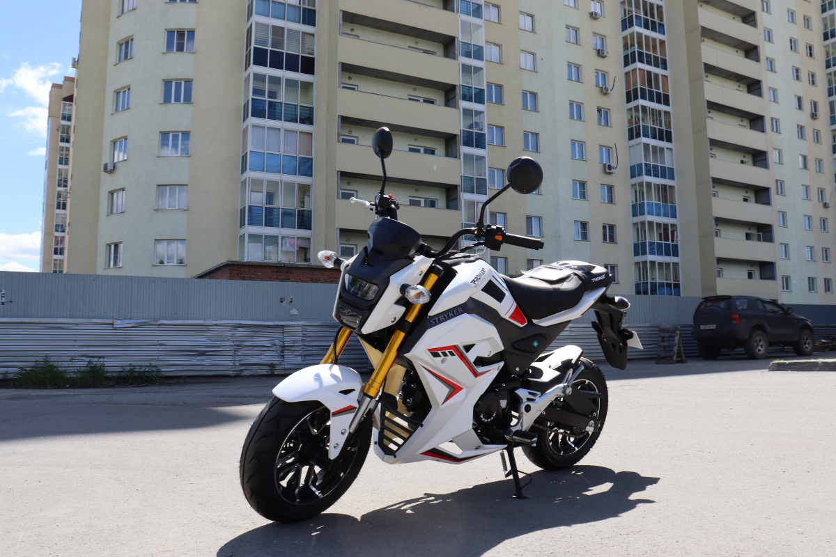 Мотоцикл PROMAX STRYKER 200(49) 2.0 в Нижнекамске