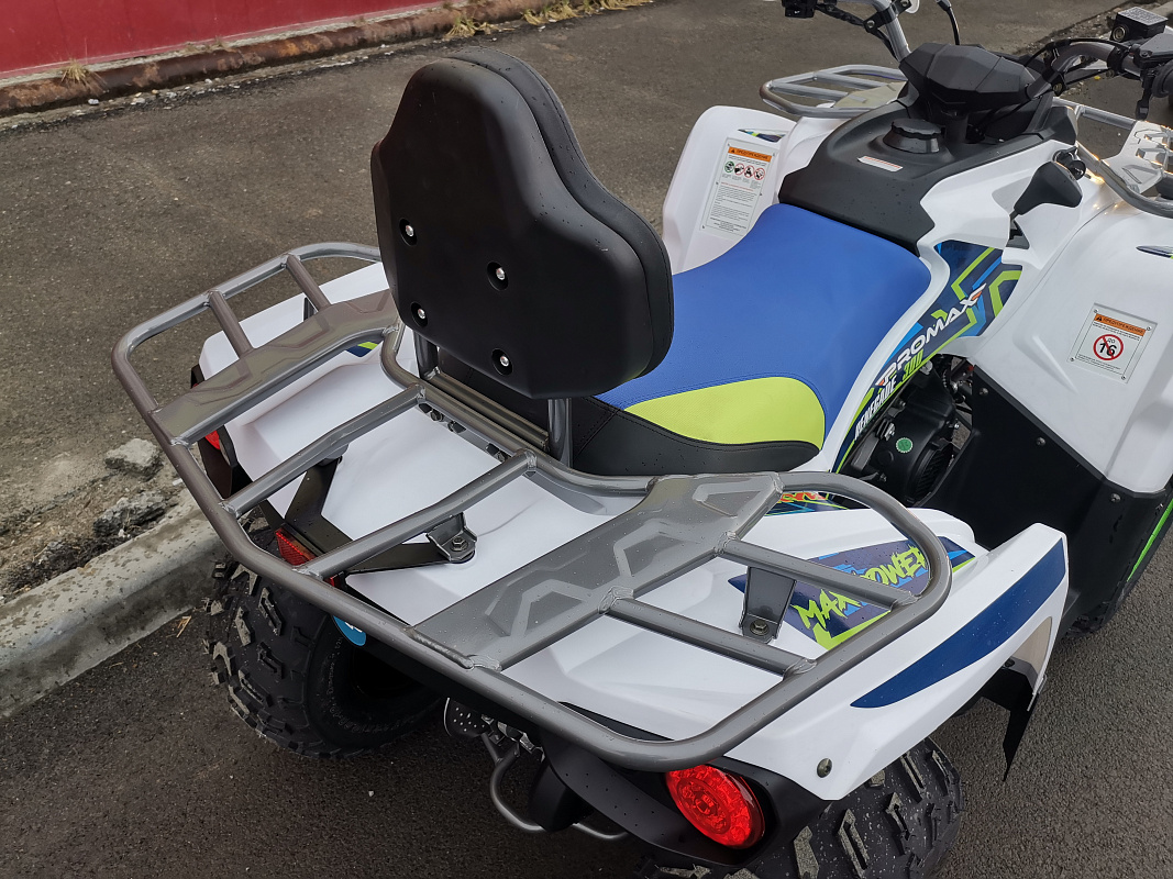 Квадроцикл PROMAX RENEGADE 280 LUX (2025) в Нижнекамске