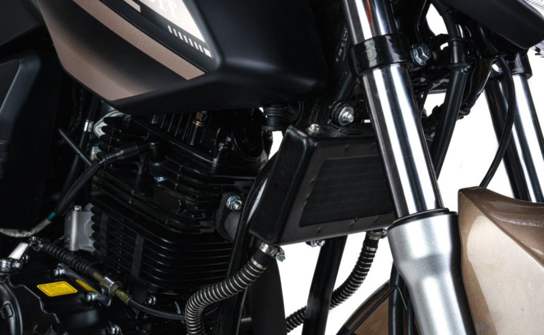 Мотоцикл MOTOLAND (МОТОЛЕНД) 300 BANDIT в Нижнекамске