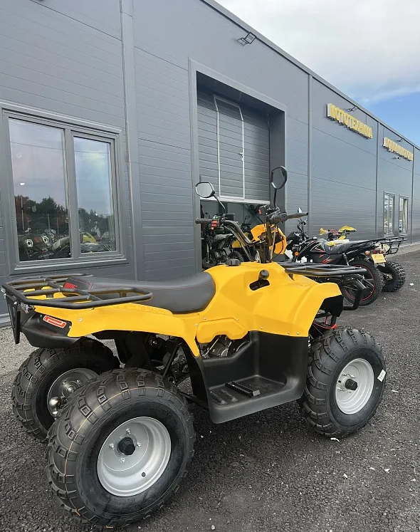 КВАДРОЦИКЛ IRBIS ATV 250  в Нижнекамске