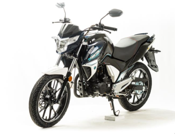 Мотоцикл MOTOLAND (МОТОЛЕНД) FIGHTER 250 в Нижнекамске