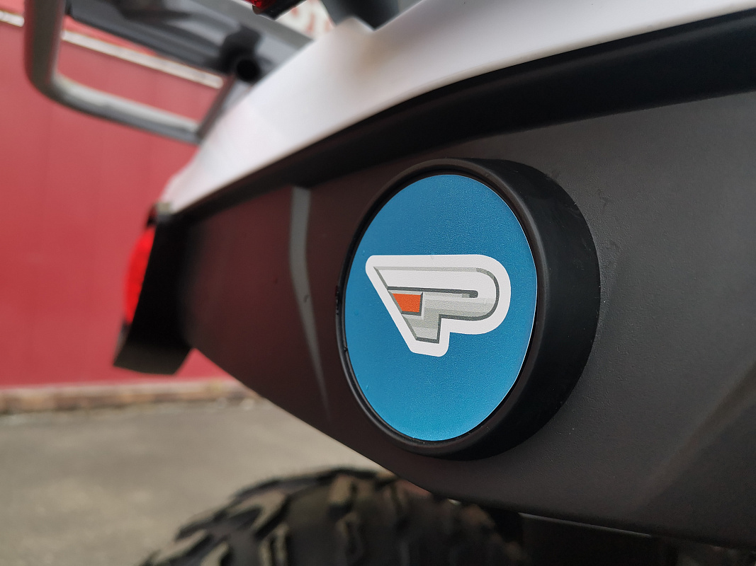 Квадроцикл PROMAX RENEGADE 280 LUX (2025) в Нижнекамске