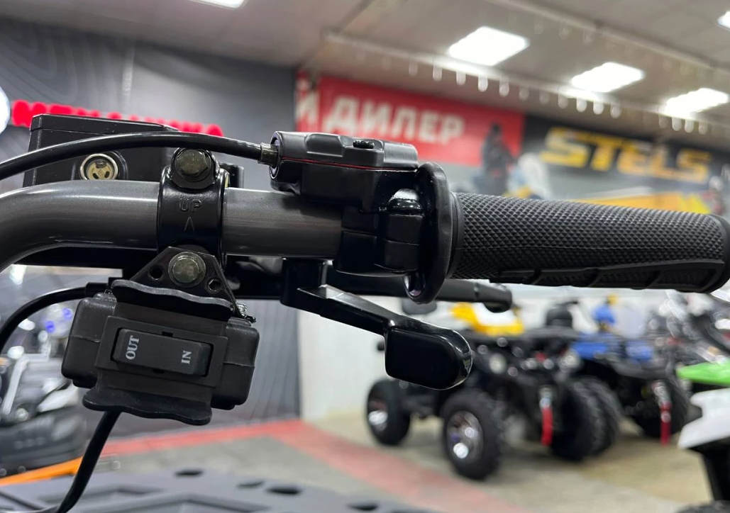 Квадроцикл PROMAX RENEGADE 300 LONG WINCH PRO (2025) в Нижнекамске