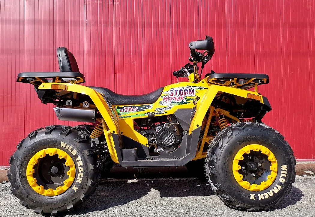 Квадроцикл PROMAX STORM 280 LUX в Нижнекамске