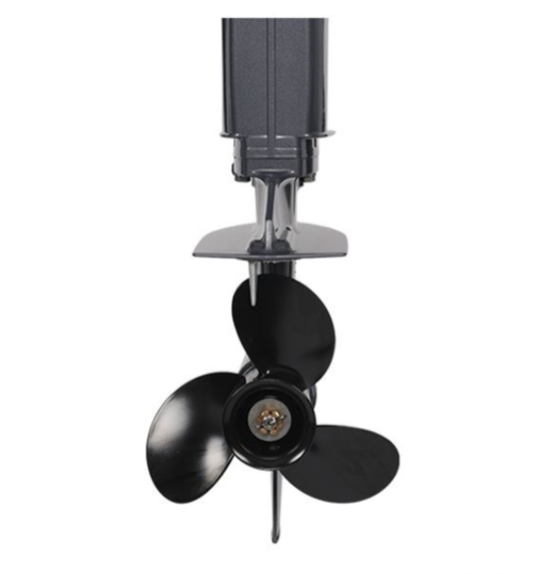 Лодочный мотор ALLFA CG Т40FW S в Нижнекамске