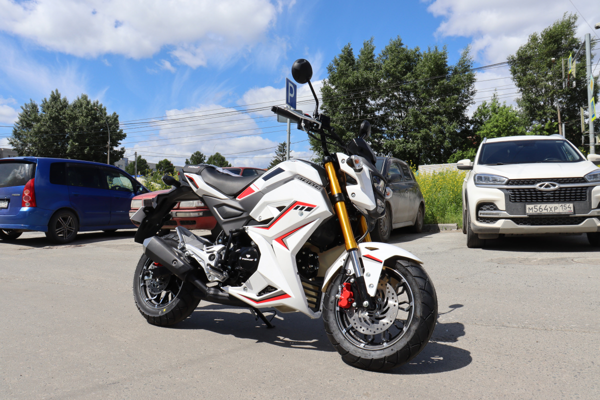 Мотоцикл PROMAX STRYKER 200(49) 2.0 в Нижнекамске