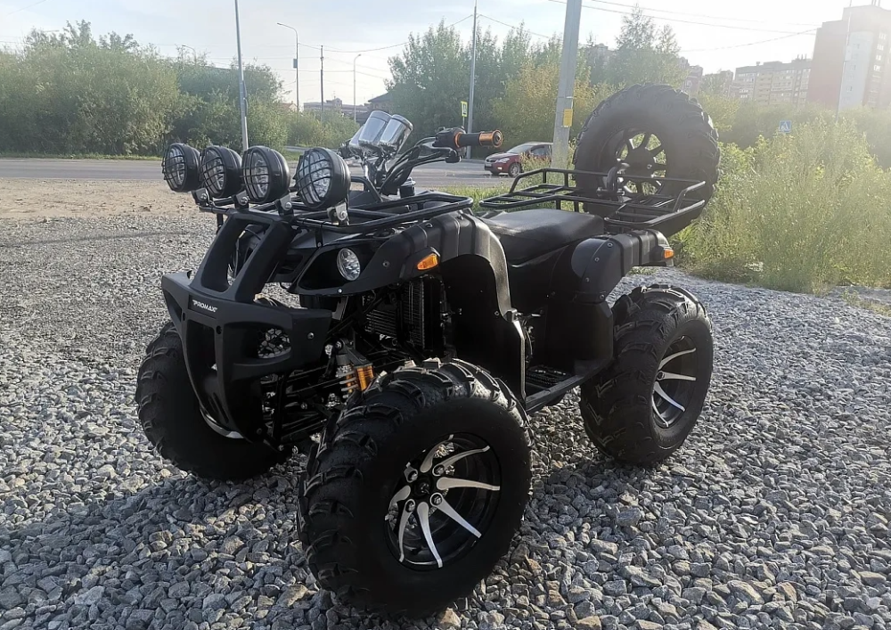 Квадроцикл PROMAX LEO 300 Max (кардан) в Нижнекамске