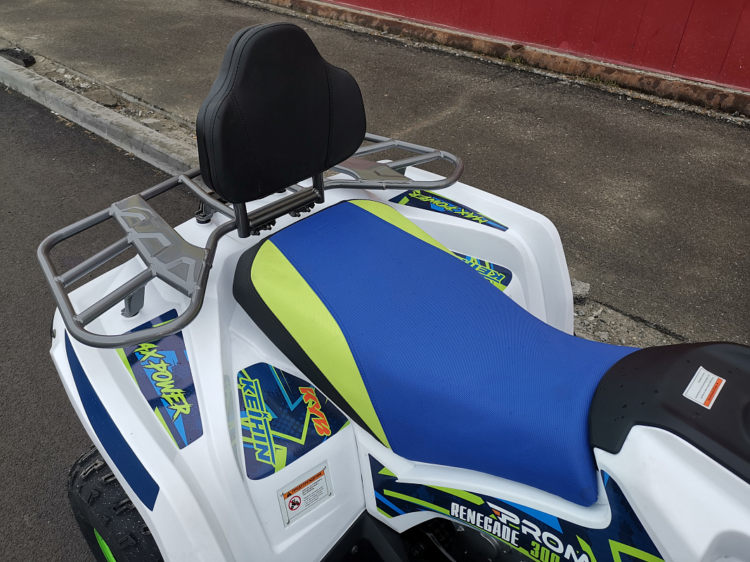 Квадроцикл PROMAX RENEGADE 280 LUX (2025) в Нижнекамске