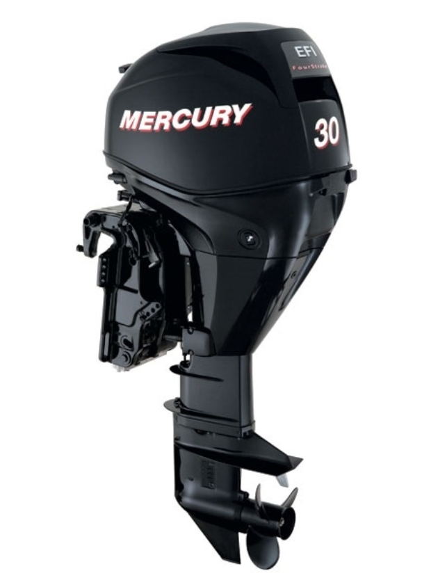 ЛОДОЧНЫЙ МОТОР MERCURY  F 30 ELH GA EFI в Нижнекамске