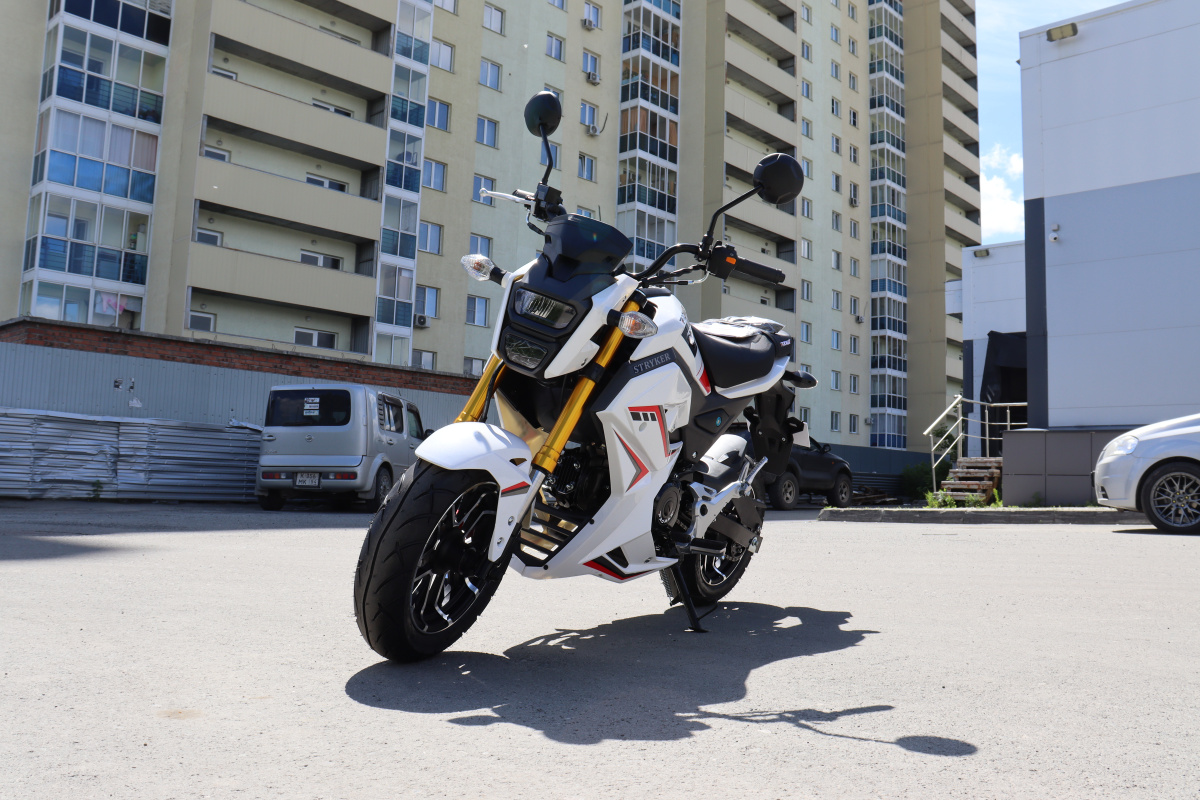 Мотоцикл PROMAX STRYKER 200(49) 2.0 в Нижнекамске