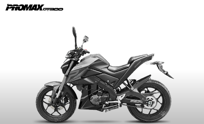 Мотоцикл PROMAX MT300 в Нижнекамске