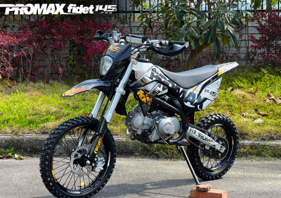 Мотоцикл (питбайк) PROMAX FIDET (ФАЙДЕТ) 145E PRO 17/14 в Нижнекамске
