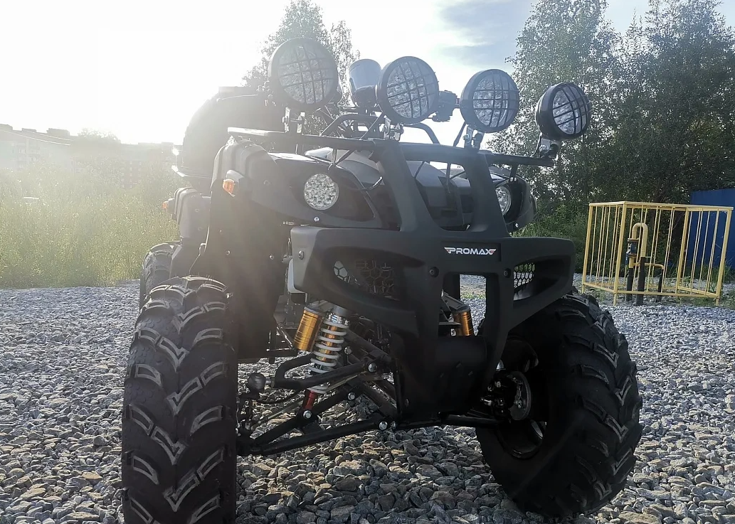 Квадроцикл PROMAX LEO 300 Max (кардан) в Нижнекамске