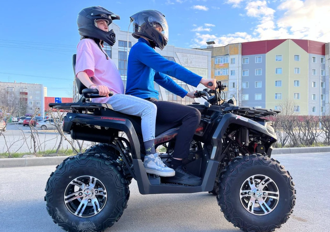 Квадроцикл PROMAX RENEGADE 300 LONG WINCH PRO (2025) в Нижнекамске