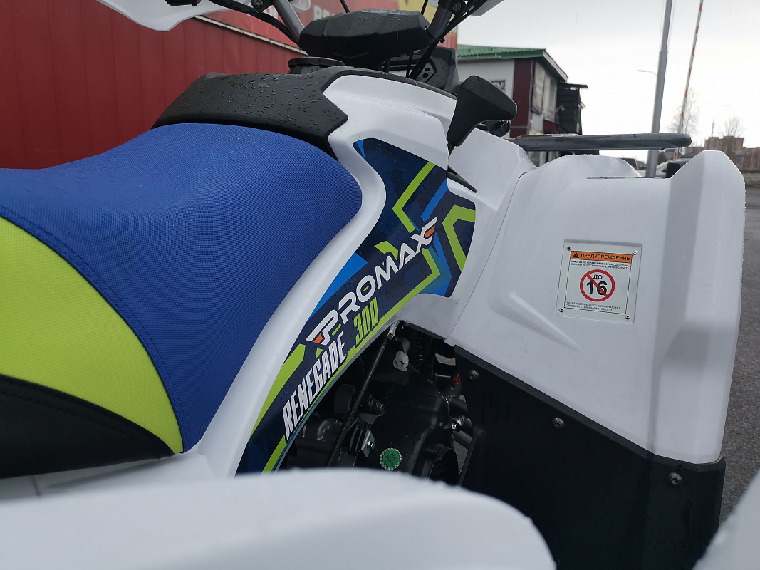 Квадроцикл PROMAX RENEGADE 280 LUX (2025) в Нижнекамске