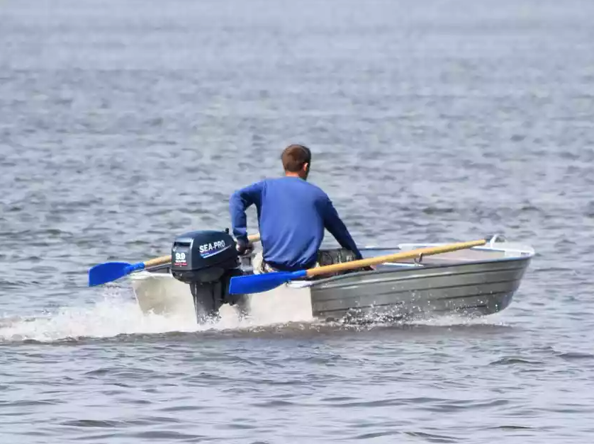 Алюминиевая Wyatboat-320 в Нижнекамске