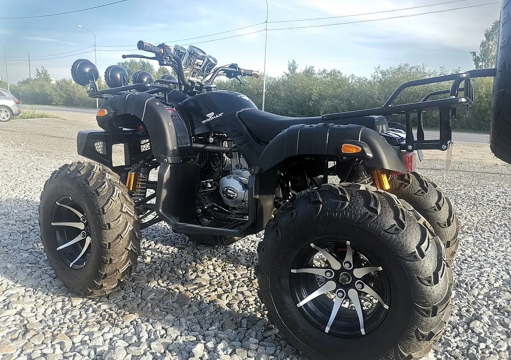 Квадроцикл PROMAX LEO 300 Max (кардан) в Нижнекамске
