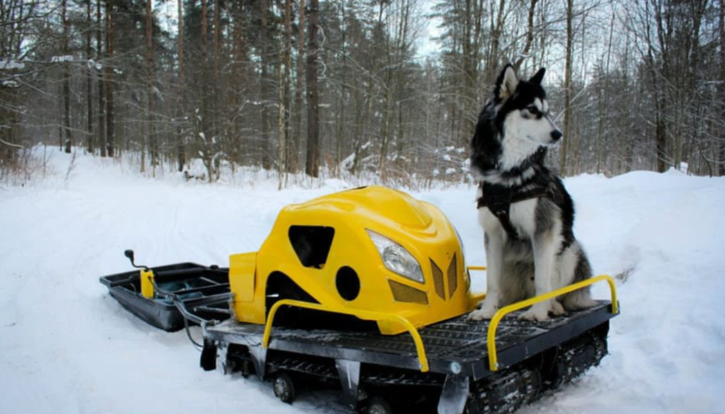 Мотобуксировщик LEBEDEV MOTORS ВОЛКОДАВ POWER V13 в Нижнекамске