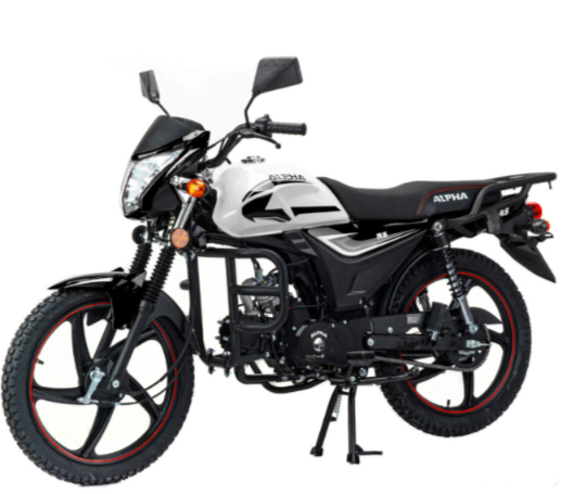 Мопед MOTOLAND (МОТОЛЕНД) Альфа RS 11 (LM48-B) в Нижнекамске