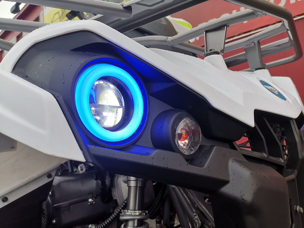 Квадроцикл PROMAX RENEGADE 280 LUX (2025) в Нижнекамске