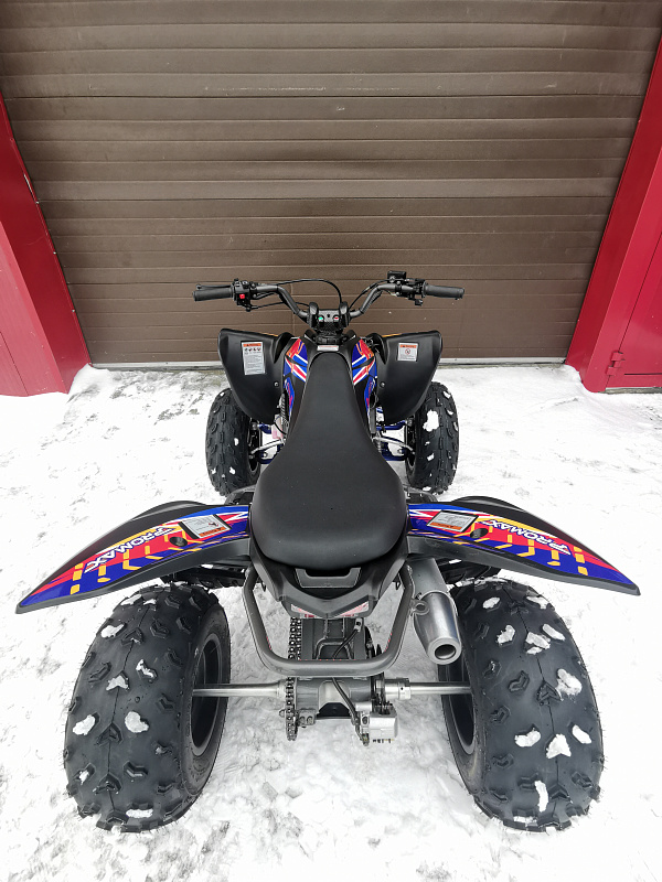 Квадроцикл PROMAX RAPTOR 300 NEW RedBull в Нижнекамске