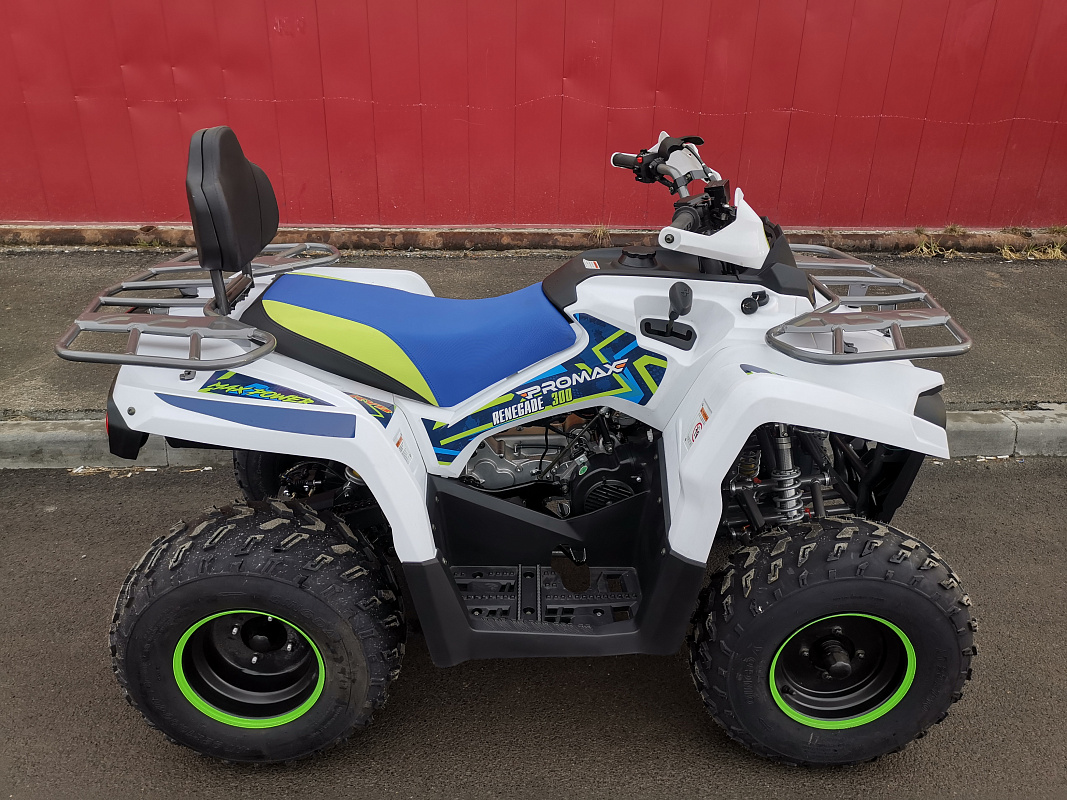 Квадроцикл PROMAX RENEGADE 280 LUX (2025) в Нижнекамске