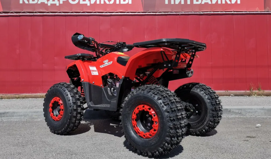 Квадроцикл PROMAX WILD 175 BASIC в Нижнекамске