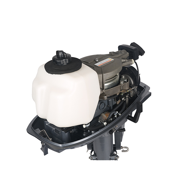 ЛОДОЧНЫЙ МОТОР ALLFA CG T5 в Нижнекамске