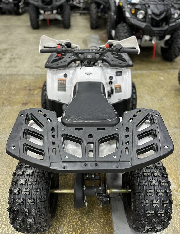 Квадроцикл PROMAX WILD 2.0 190 в Нижнекамске