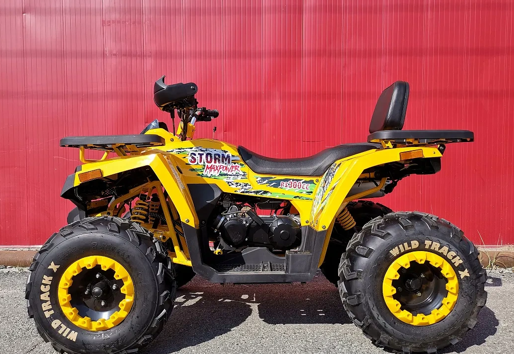 Квадроцикл PROMAX STORM 280 LUX в Нижнекамске