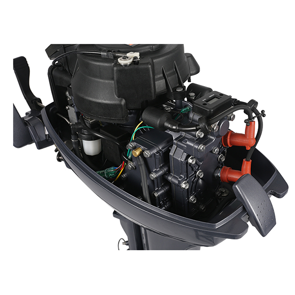 ЛОДОЧНЫЙ МОТОР ALLFA CG Т9,9 Limit в Нижнекамске