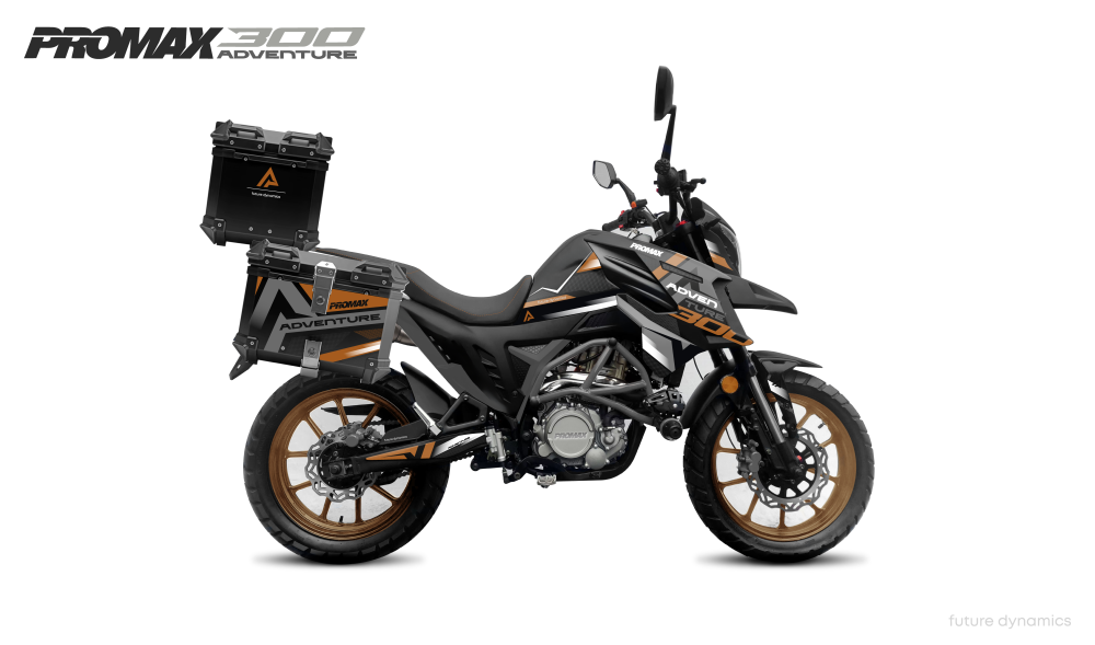 Мотоцикл PROMAX ADVENTURE 300 PRO EFI (NB300) в Нижнекамске