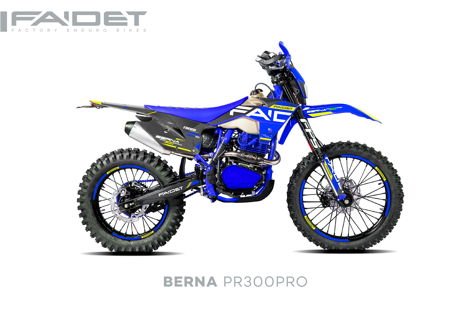 Кроссовый мотоцикл FAIDET BERNA PR300-PRO FPS в Нижнекамске