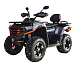 Квадроцикл MOTOLAND (МОТОЛЕНД) 300 MAX X в Нижнекамске
