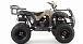 Квадроцикл MOTOLAND (МОТОЛЕНД) 200 ALL ROAD в Нижнекамске