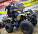 Квадроцикл PROMAX ATV 250 (2025) в Нижнекамске
