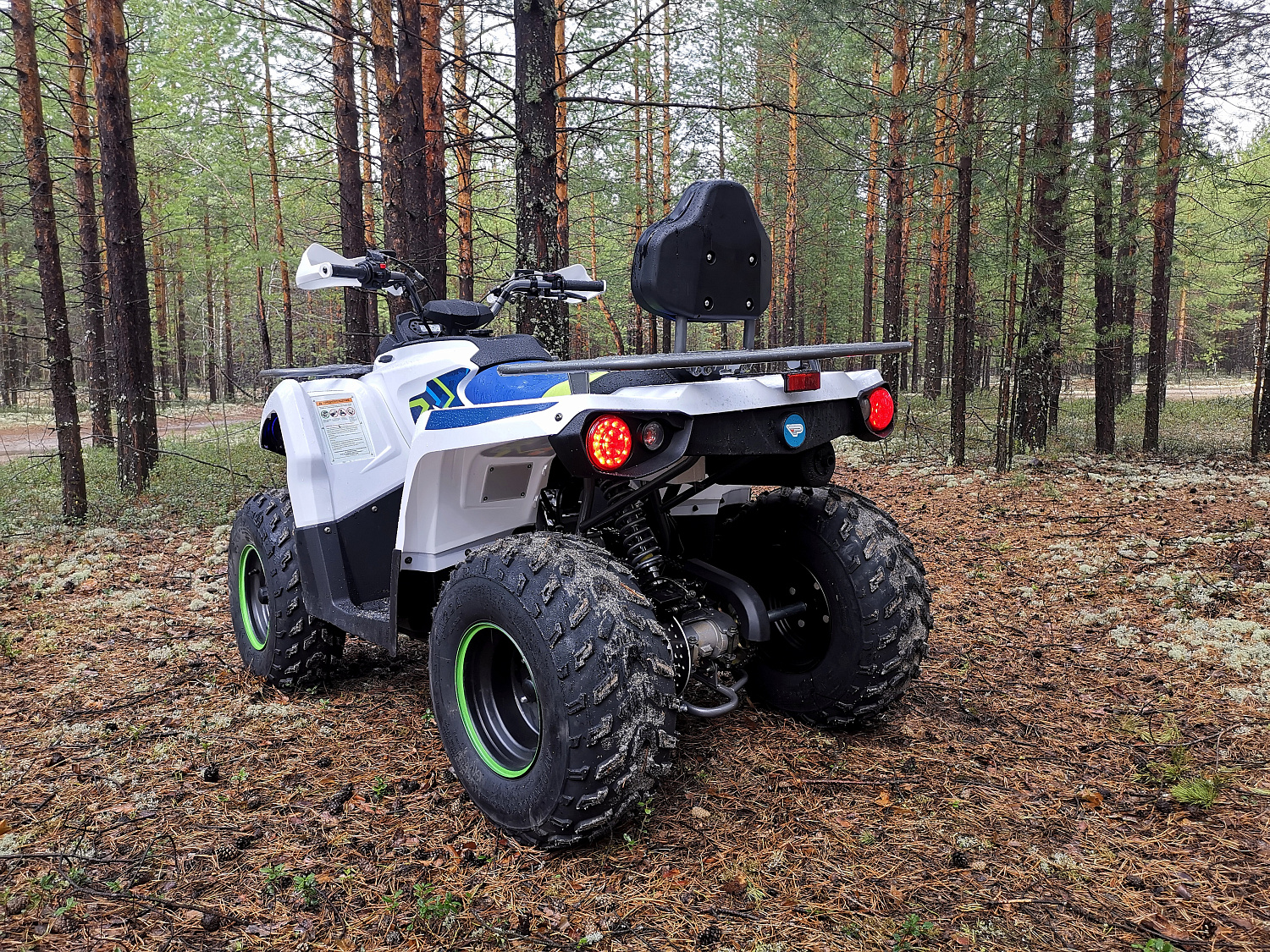 Квадроцикл PROMAX RENEGADE 280 (2025) в Нижнекамске