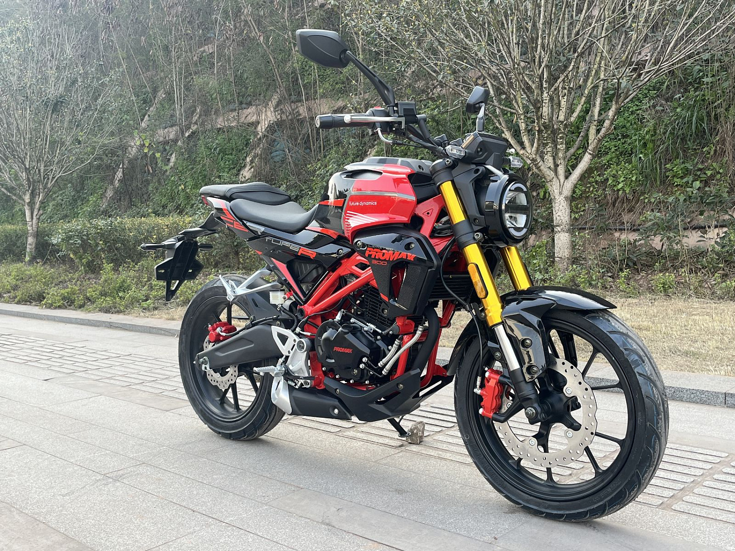 Мотоцикл PROMAX CB300 в Нижнекамске