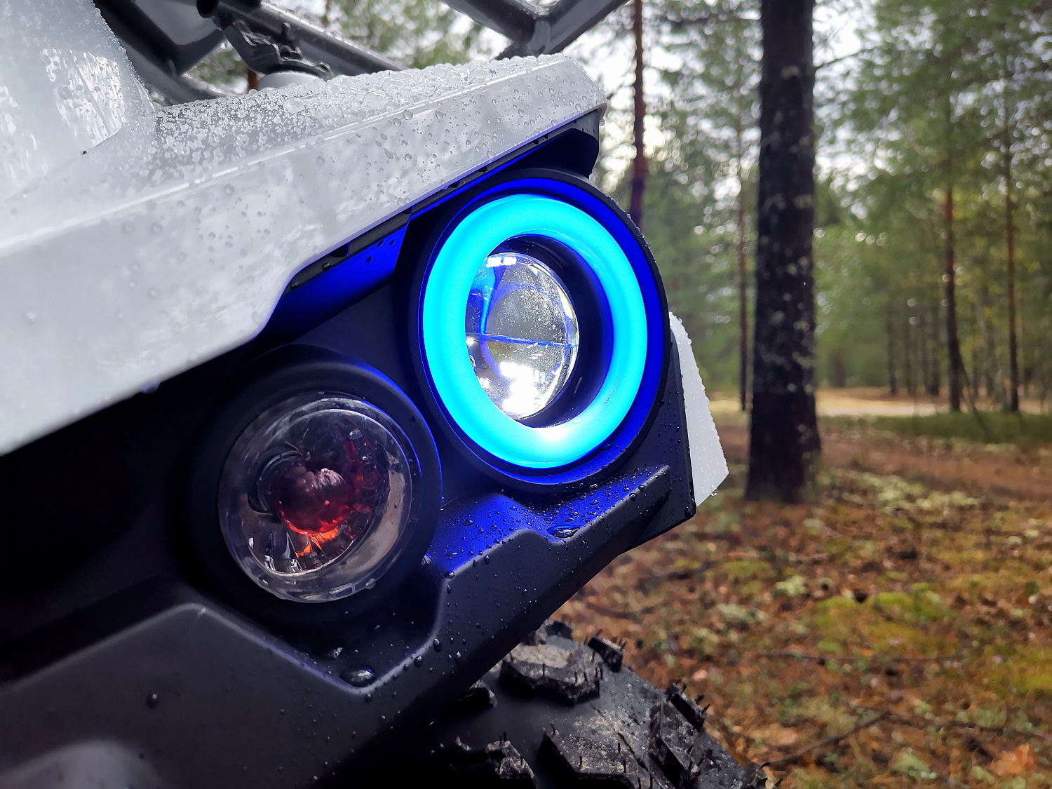 Квадроцикл PROMAX RENEGADE 280 (2025) в Нижнекамске