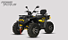 Квадроцикл PROMAX TAURUS 300 MAX-PRO LONG в Нижнекамске